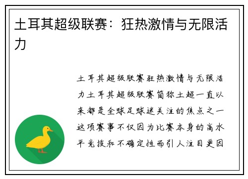 土耳其超级联赛：狂热激情与无限活力